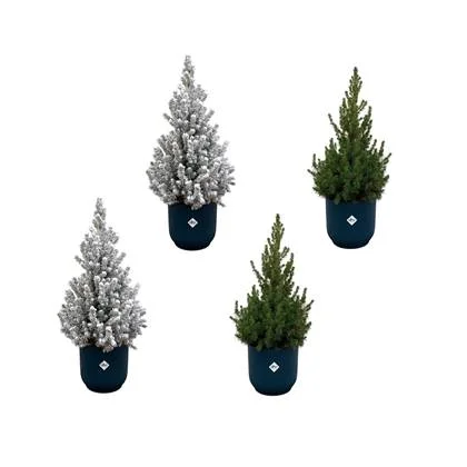 2x Kerstboom met en 2x zonder sneeuw + 4x elho Vibes Fold blauw - 60cm