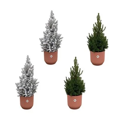 2x Kerstboom met en 2x zonder sneeuw + 4x elho Vibes Fold roze - 60cm