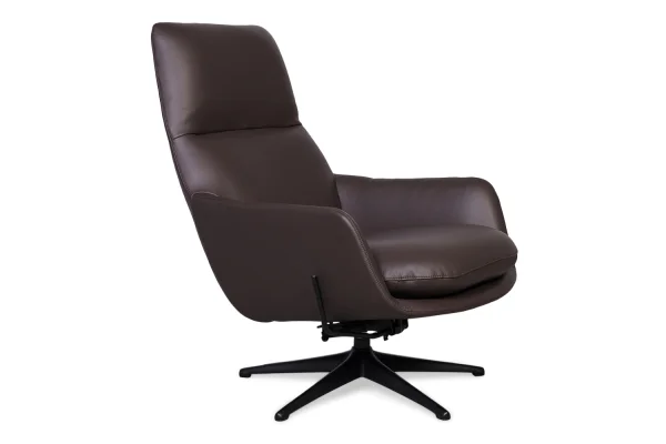 Flexlux Falcone fauteuil + poef