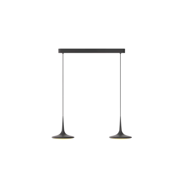 Grau Falling Leaf Trace hanglamp - zwart - 2-vlammig