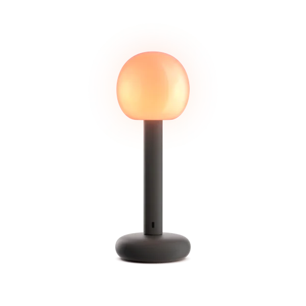 Grau Fire draagbare lamp - zwart