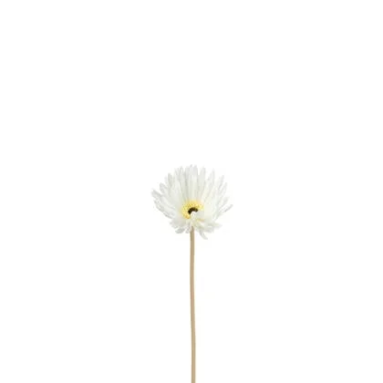 J-Line bloem Gerbera Virgin - kunststof - wit - 12 stuks