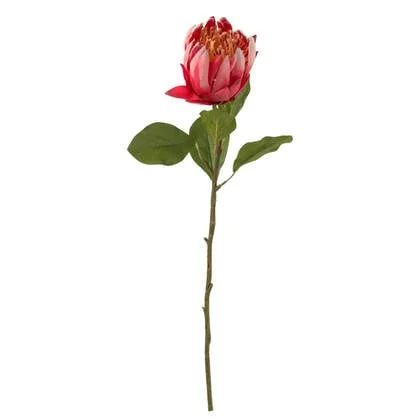 J-Line bloem Protea Tak - kunststof - rood - 6 stuks