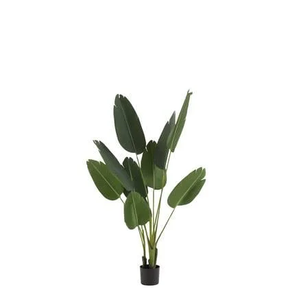 J-Line plant Strelitzia - kunststof - groen - small