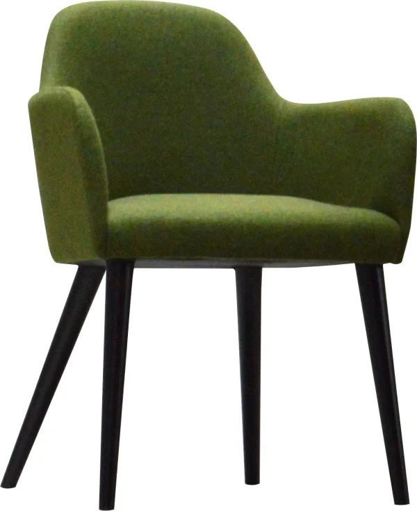 Jan Kurtz Flaminia Fauteuil - groen - beuken