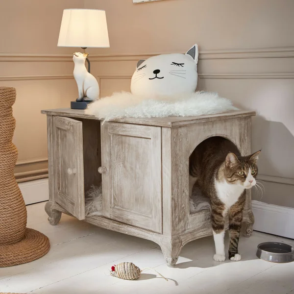 Kattenhuisje Éloresa