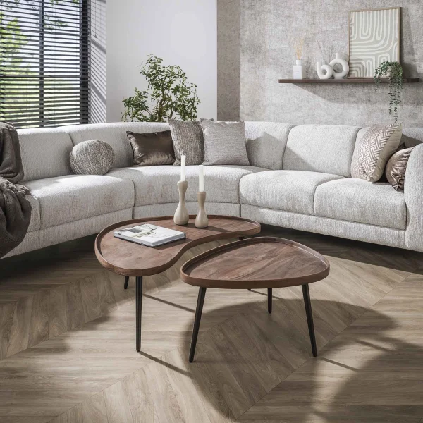LifestyleFurn Organische Salontafel Alania Acaciahout, Set van 2 stuks - Massief acacia bruin