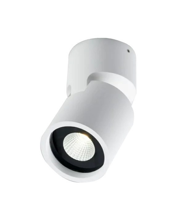 LIGHT-POINT - Tip 2 LED 3000K Plafondlamp Wit