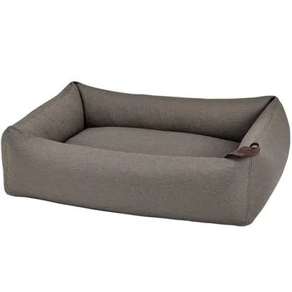 Mare hondenmand small kelp