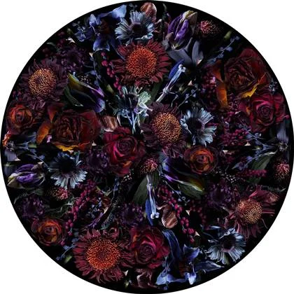 Moooi Carpets Fool&apos;s Paradise vloerkleed 250