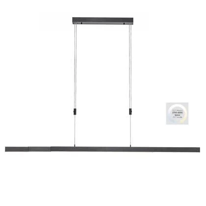 Paul Neuhaus Hanglamp Bacalia Antraciet L120-180cm