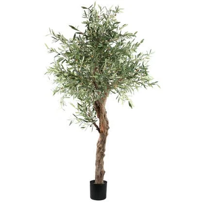 PTMD Tree Green Olive Tree In Pot 210cm
