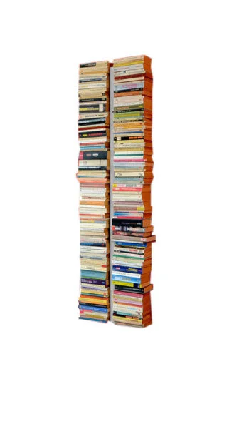 Radius Booksbaum dubbel boekenwandrek - wit - 170 cm