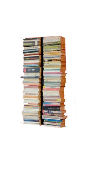 Radius Booksbaum dubbel boekenwandrek - zwart - Hoogte 90 cm