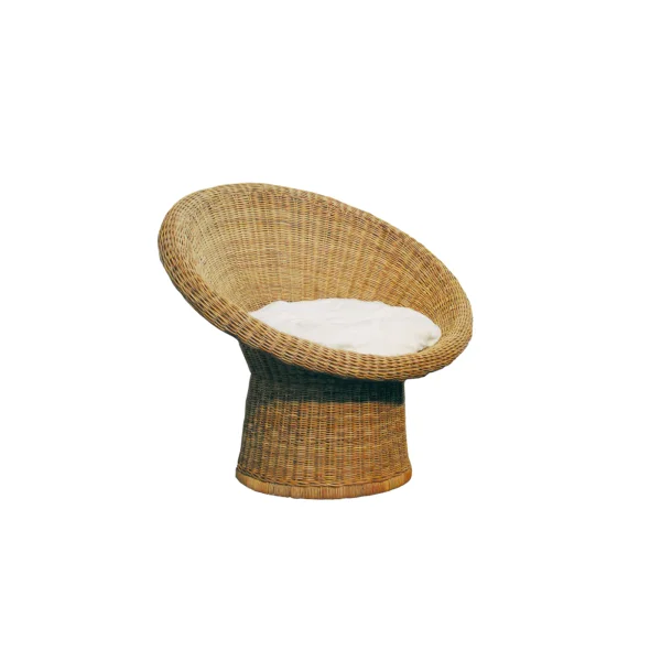 Richard Lampert E10 rotan fauteuil - licht - met kussen