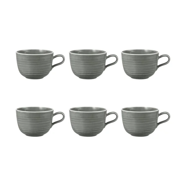 Seltmann Weiden Terra kop 38 cl 6-pack Pearl Grey