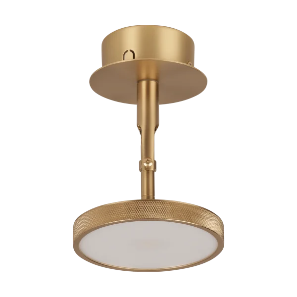 Umage Asteria Spot plafond- en wandlamp Ø12 cm Polished brass