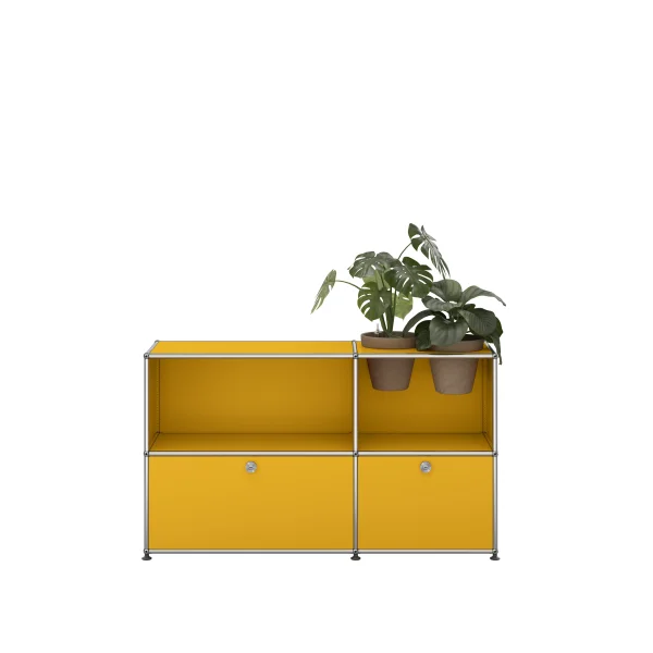 USM Haller A world of plants dressoir 2x2 - 2 potten - 25 goudgeel