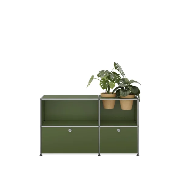 USM Haller A world of plants dressoir 2x2 - 2 potten - USM 36 olivgrün